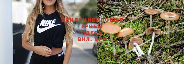 таблы Абдулино