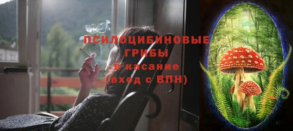 хмурый Алексеевка