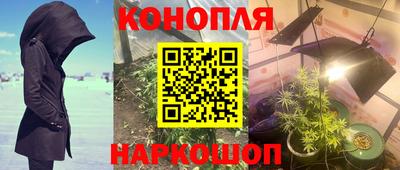 дурь Можга
