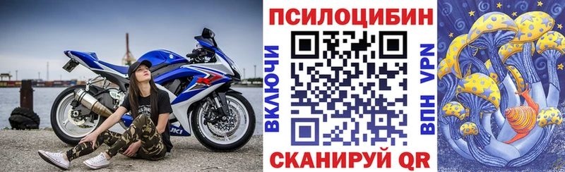 Псилоцибиновые грибы мицелий  Дзержинск 