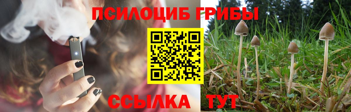 дарнет шоп  Галлюциногенные грибы Psilocybe  Вход с VPN  Дзержинск 